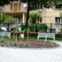 Parcul Rozelor - Timisoara - Proiectare "Coralya"