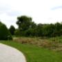 Parcul Rozelor - Timisoara - Proiectare "Coralya"