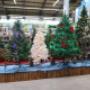 # 10