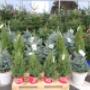 # 10