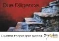 Due Diligence Investigations