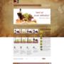 Magazin online