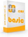 Website Business Prezentare