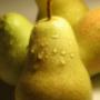 PERE