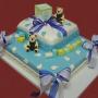Tort 035