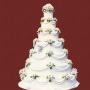Tort 216