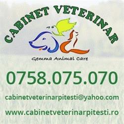 GemmaVet - Cabinet Veterinar Pitesti