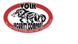 Volk Security Company SRL