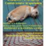 Instalator Constanta 0788683553