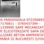 TERMOBETON 0765437394 SAPA MECANIZATA SAPE BUC