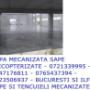 sapa perlitica 0747176811