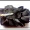 accesorii-negre-Cluj