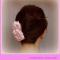 accesoriu-par-roz