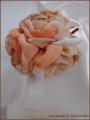 Accesoriu pentru par cu flori crem handmade