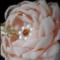 pernite-verighete-Shabby