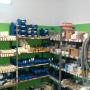 Magazinul nostru