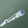Sonda Dormia