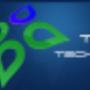 Tara Technology - webdesign, promovare si seo
