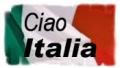 TRADUCERI AUTORIZATE ITALIANA