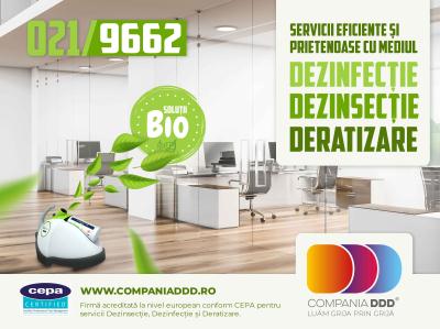 prezentare-servicii-DDD