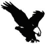 Falcon Computers SRL