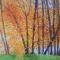Autumn-5