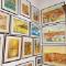 Imagine-din-galerie-2