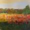 Poppies-Landscape-7