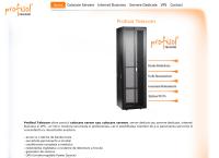 Website S.C. Profisol Telecom S.R.L.