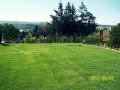 PLANTE ORNAMENTALE, ARBORI ARBUSTI PERENE GRAMINEE PLANTE ACVATICE