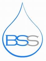 SC. Blue Spark Systems SRL.