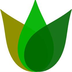SC Seoweb Seco SRL