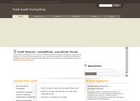 Website Total Audit Consulting