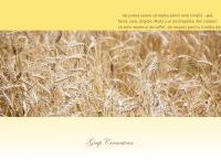 Website Grup Cernestean Srl