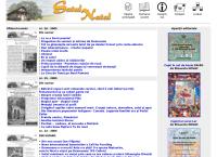 Website Asociatia Nova International