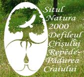 Padurea Craiului