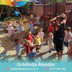 gradinita aleodor