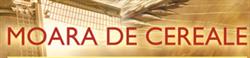 GM Consulting Group SRL