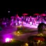 Petreceri outdoor