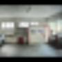 Workshop Fox Paint