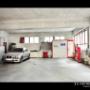 Workshop Fox Paint