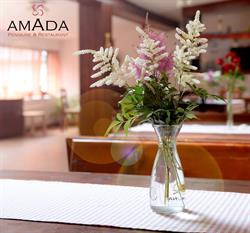 Pensiunea Amada