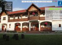Website Hanul Moara Veche