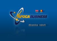 S.c. Napoca Business S.r.l.