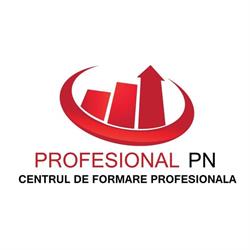 S.C. Profesional PN S.R.L