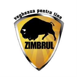 A&S zimbrul security