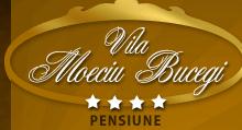 Vila Moeciu Bucegi