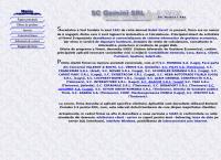 Website SC Gemini SRL