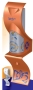 Nidal Trading Impex SRL