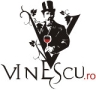 Vinescu Best Time Investments Ag SRL